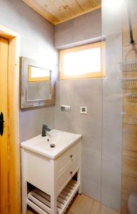 亞沃爾斯的住宿－Niedźwiedziówka，浴室配有白色水槽和淋浴。