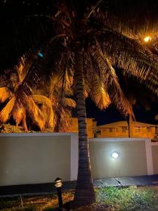 a palm tree in front of a building at night at grounfloor flat furnished swimming pool in Flic-en-Flac
