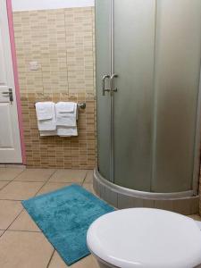 弗利康弗拉克的住宿－grounfloor flat furnished swimming pool，带淋浴、卫生间和蓝色地毯的浴室
