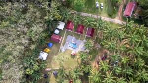 an overhead view of a yard with palm trees at Teniat Village in Rantau Panjang