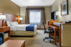 Habitación de hotel con cama y escritorio en Comfort Suites Auburn Hills-Detroit, en Auburn Hills