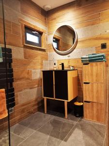 ein Bad mit einem Waschbecken und einem Spiegel in der Unterkunft "Le Cabanon cendré" petit chalet cosy au coeur de Gérardmer in Gérardmer