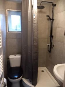 La salle de bains est pourvue d'une douche, de toilettes et d'un lavabo. dans l'établissement Chalet Buizerd in Koudhoorn #omgeven door bos# tussen Garderen en Putten, à Putten