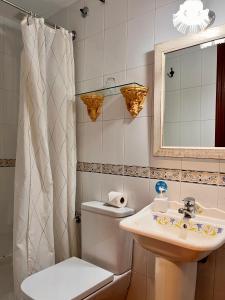 y baño con aseo, lavabo y espejo. en Hostal La Vera, en Madrid