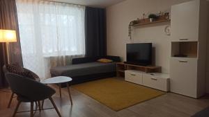 una pequeña sala de estar con sofá y TV en Lake apartment, en Visaginas