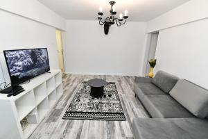 Transilvania Apartament في بوخارست: غرفة معيشة مع أريكة وتلفزيون