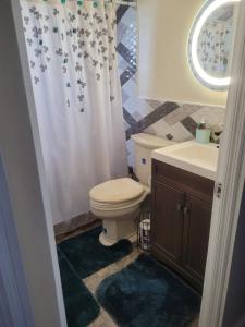 a bathroom with a toilet and a sink at Silverbuttons Apartments & Eats in Dickenson Bay