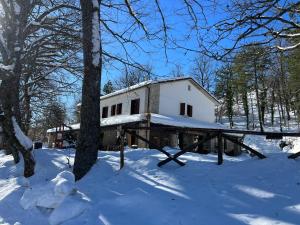 Una casa en la nieve en el bosque en Casa del Pastore Rosello, en Rosello