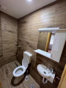 a bathroom with a toilet and a sink at Bjelasnica-Villa-Treskina dvorišta-Apartmani-Izletište-Ribnjak in Sarajevo