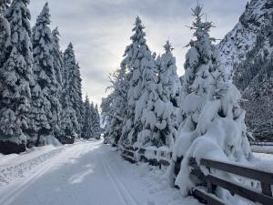 una cubierta de nieve carretera arbolada con árboles nevados en Gschlössle Ferienwohnungen, en Jerzens