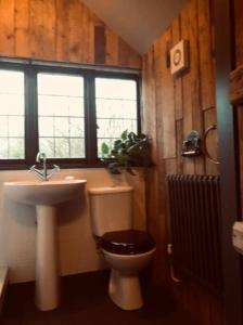 a bathroom with a toilet and a sink at 18th Cent Cottage - 5min drive Soho Farmhouse in Ledwell