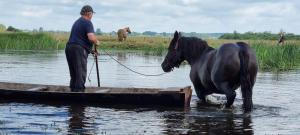 un hombre en un barco con un caballo en el agua en Filipówka, en Sztabin
