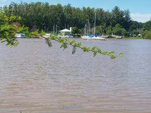 a view of a body of water with boats at Monoambiente Blanca in Concordia