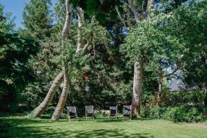 three chairs sitting in the grass under trees at Oiseau des dunes in Koksijde