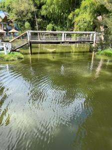 a bridge over a river with a duck in the water at Pousada Recanto dos Cisnes in Betim