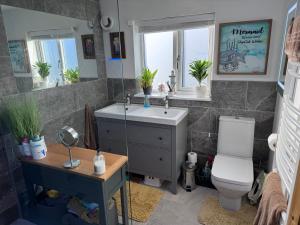 W łazience znajduje się toaleta, umywalka i lustro. w obiekcie Brick lodge house w mieście Castle Donington