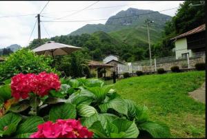 einen Garten mit rosa Blumen und einem Sonnenschirm in der Unterkunft Casa Albina in Ríofabar