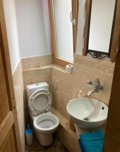 a bathroom with a toilet and a sink at Garsoniera langa plaja in Constanţa +3 photos