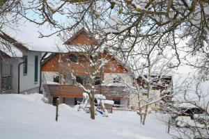 a house covered in snow with trees in the foreground at Biohof Auinger, der Tiererlebnishof in Aurach am Hongar +71 photos