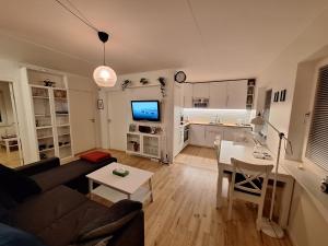 a living room with a couch and a table at Apartment Hundige in Greve