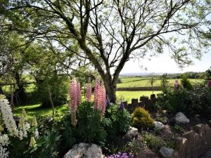 een tuin met bloemen voor een boom bij 2 bed property in Instow INFOB in Westleigh