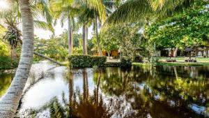 a body of water with palm trees and a river at Kibayo Cabarete Boutique Hotel in Cabarete