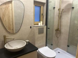 uma casa de banho com um lavatório, um WC e um espelho. em Activfarm domki na Kaszubach /domek Madzia em Lipnica