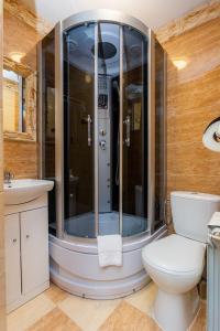 a bathroom with a shower with a toilet and a sink at Willa Górska Dolina Jacuzzi & Sauna in Poronin