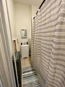a shower curtain in a bathroom with a sink at Cozy 1BR with Patio in the Heart of Albany in Albany