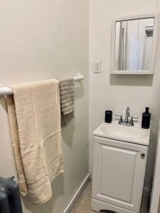a bathroom with a sink and a mirror and towels at Cozy 1BR with Patio in the Heart of Albany in Albany
