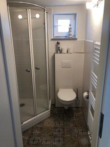 a bathroom with a toilet and a glass shower at Ruhige Ferienwohnung mit Sonnenterrasse und Garten in Binz