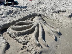 una escultura de arena de una estrella de mar en la playa en Ruhige Ferienwohnung mit Sonnenterrasse und Garten en Binz
