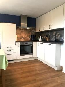 Kuchyň nebo kuchyňský kout v ubytování Ruhige Ferienwohnung mit Sonnenterrasse und Garten