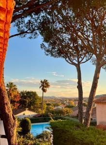 a view of a swimming pool with palm trees at Domaine des Vignes Golfe de Saint Tropez in Cogolin