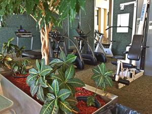 a gym with several plants and exercise bikes at Greenwell Inn in Price