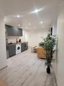 a living room with a kitchen and a washing machine at Le Provençal in Saint-Mitre-les-Remparts