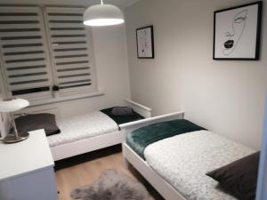 een slaapkamer met 2 bedden en een lamp bij Apartament - Classic Olszowa in Włocławek