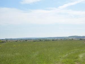 a field of green grass with a blue sky at 1 Bed in Somerton 41734 in Babcary