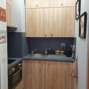 uma pequena cozinha com um lavatório e armários de madeira em Studio Hyper centre Valberg em Valberg
