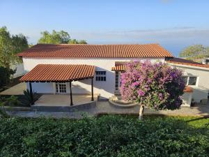 una casa blanca con techo rojo y un árbol en Cool 4-bedroom Villa with sea views, en Tijoco de Abajo