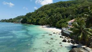 a beach with palm trees and a house on the shore at Beach View Villa - Beauvallon villas in Beau Vallon