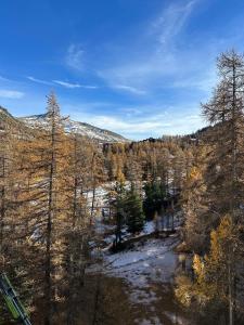 an aerial view of a forest with snow and trees at SKI AUX PIEDS in Vars