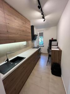 una cucina con lavandino e piano di lavoro di New spacious one-room apartment a Prievoz