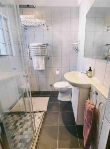 a bathroom with a shower and a toilet and a sink at Central Garden Room Tamboerskloof in Cape Town