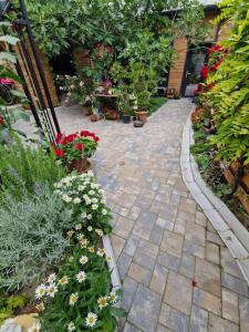 A garden outside Studio 27