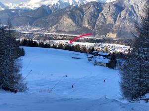 因斯布魯克的住宿－Gartenstudio Peony，一只红色风筝飞过雪覆盖的山
