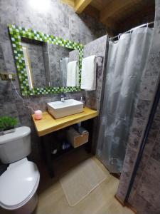 y baño con aseo, lavabo y ducha. en Nativa Glamping, en Villarrica