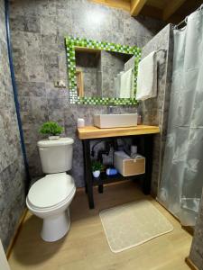 a bathroom with a toilet and a sink and a mirror at Nativa Glamping in Villarrica