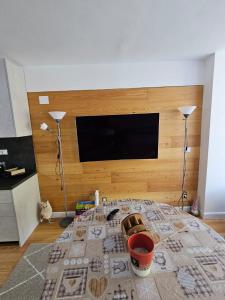 sypialnia z łóżkiem i telewizorem z płaskim ekranem w obiekcie Bella vista w mieście Limone Piemonte