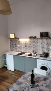 eine Küche mit einer Spüle und einer Waschmaschine in der Unterkunft Pane e Tulipani, cozy apartment near city center in Turin